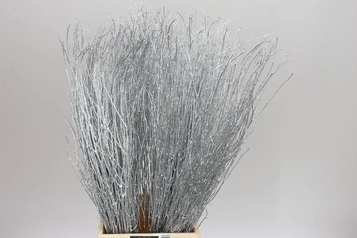 Breza Silver Glitter • 70 cm