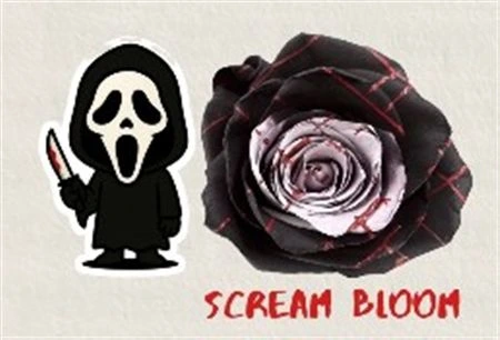 Ruža farbená Hw Scream Bloom, Ekvádor • 50 cm
