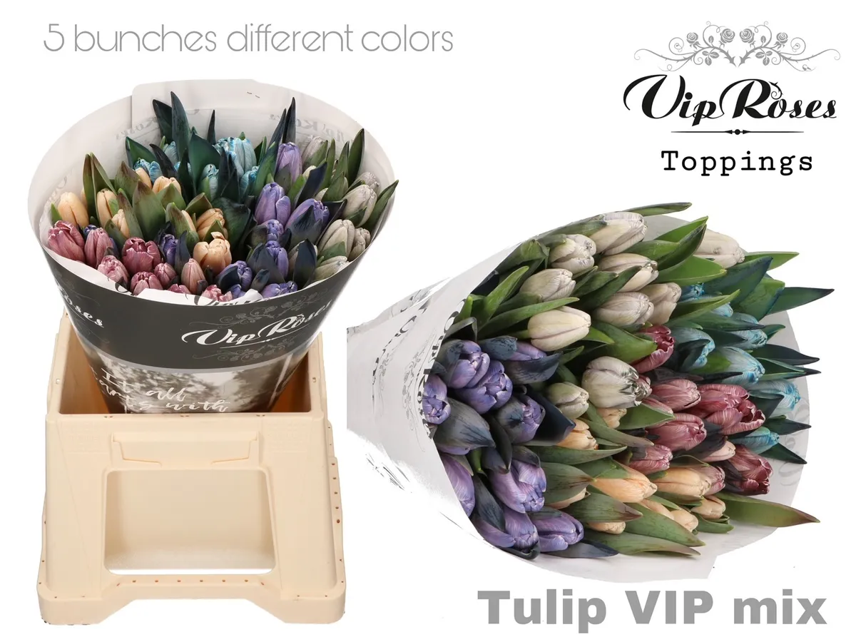 Tu En A Vip Mix • 40 cm