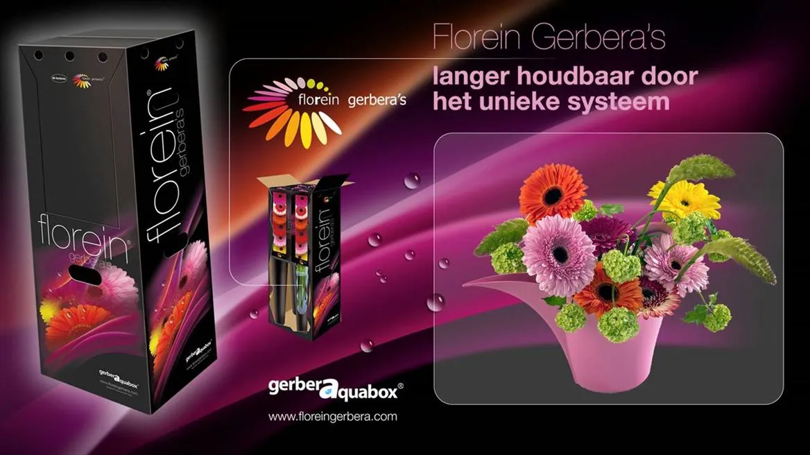 Gerbera Aqua Mixed X96 • 45 cm