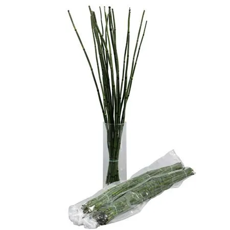 Bamboe Snakegras Vp X5 • 60 cm