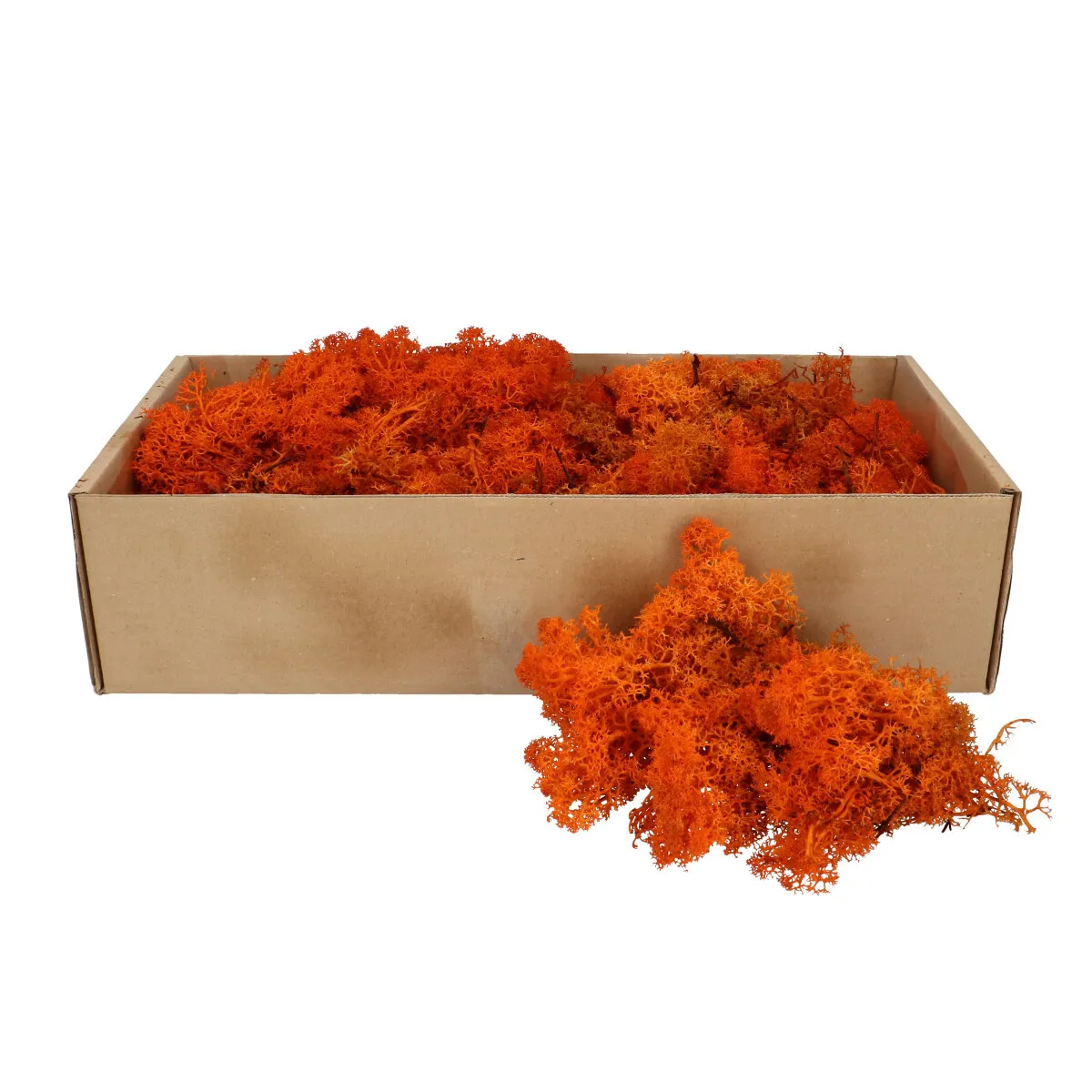 Stabilizovaný sobí mach, oranžový, 400 až 500 g