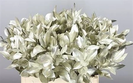 Ruskus farbený Platina + Glitter • 60 cm