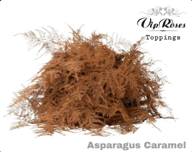 Asp Ov Extra Veren Caramel • 65 cm