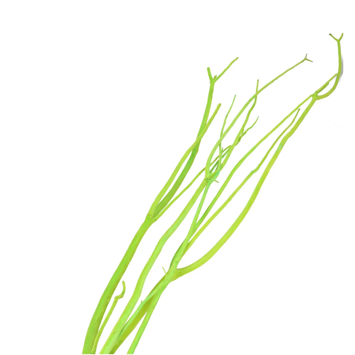 Vetvy Mitsumata so zamatovým povrchom zelené 115 cm