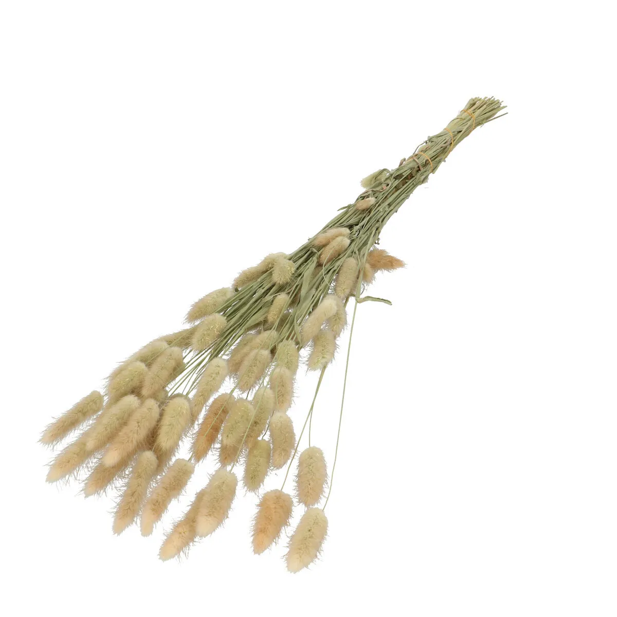 Sušený zajačí chvost 60 cm