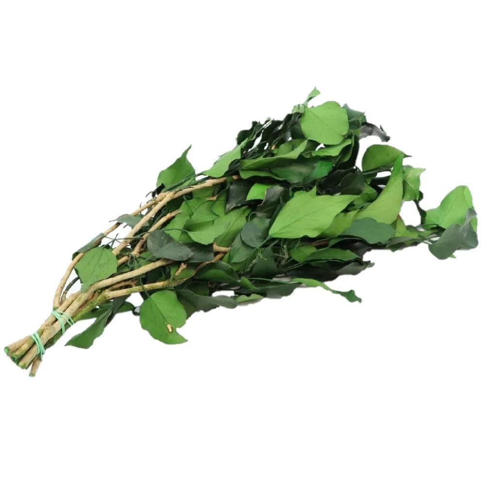 Stabilizovaný brečtan 65 cm, zelený, 150 g