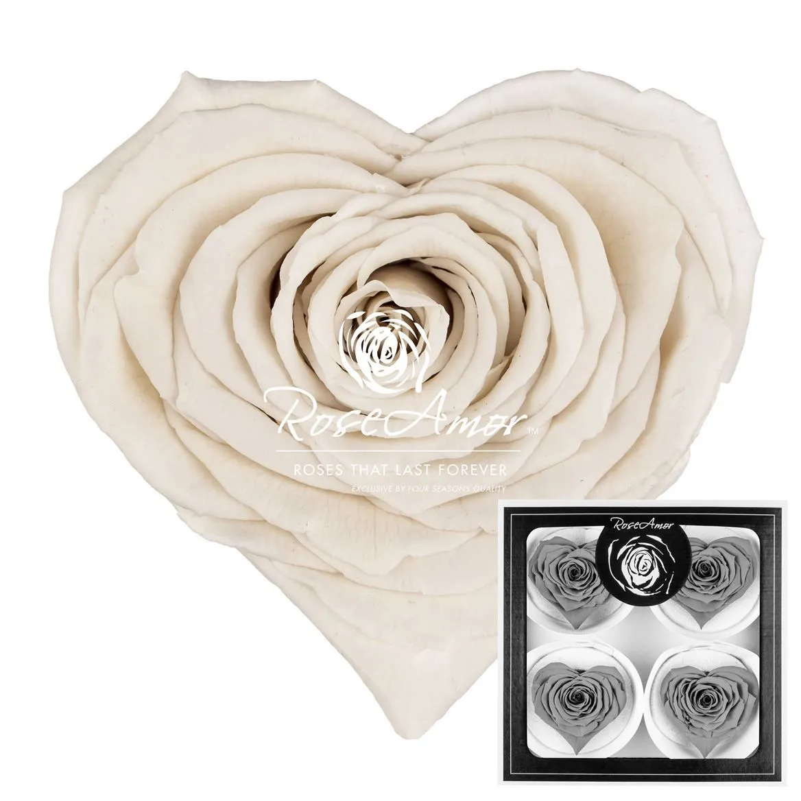Stabilizovaná ruža v tvare srdca Corazon Bella ⌀ 7 cm, biela WHI04