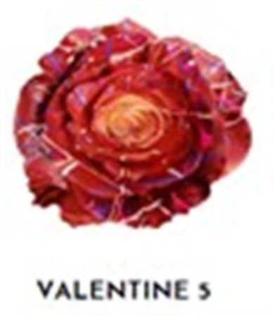 Ruža farbená Valentine 5, Ekvádor • 50 cm