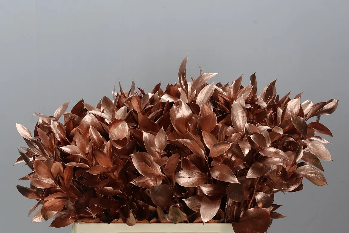 Ruskus farbený Copper • 60 cm