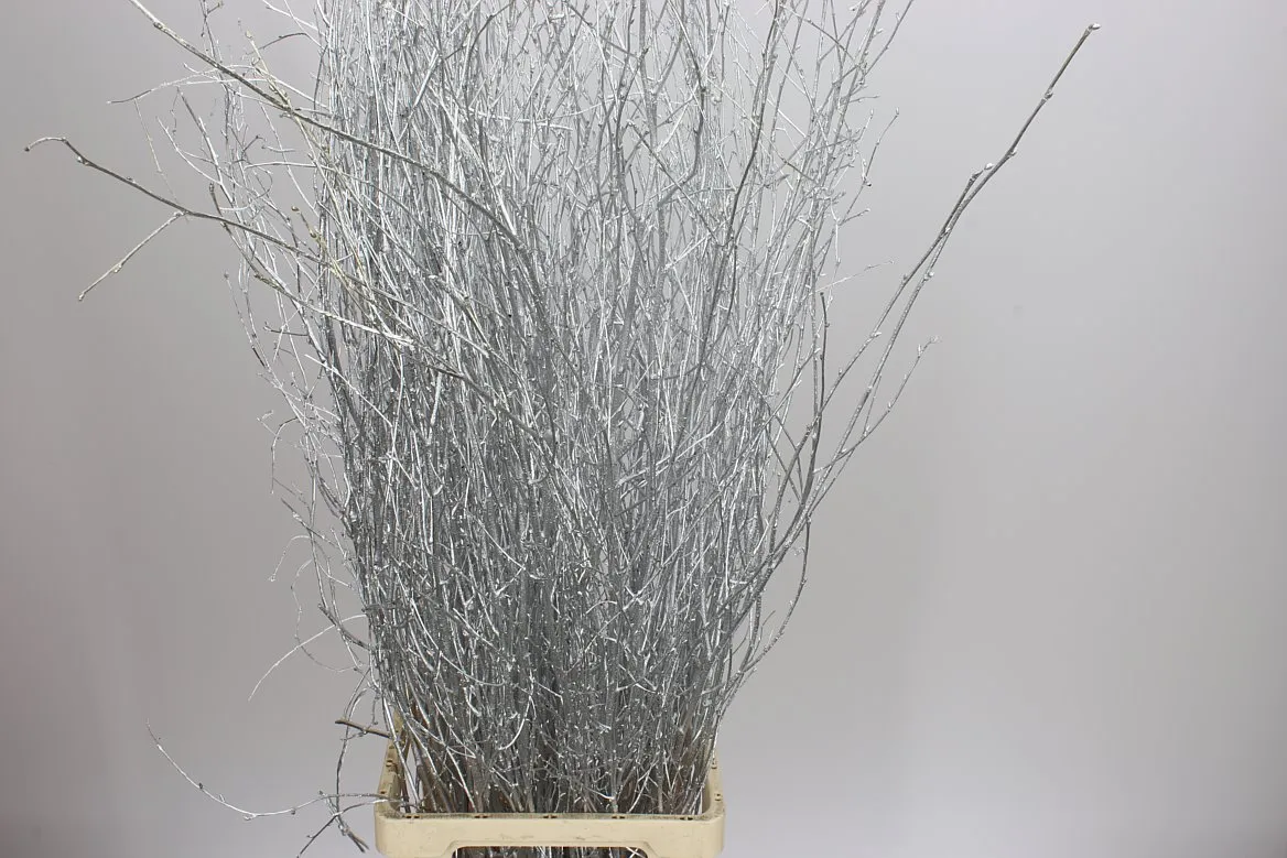 Berk Silver • 120 cm