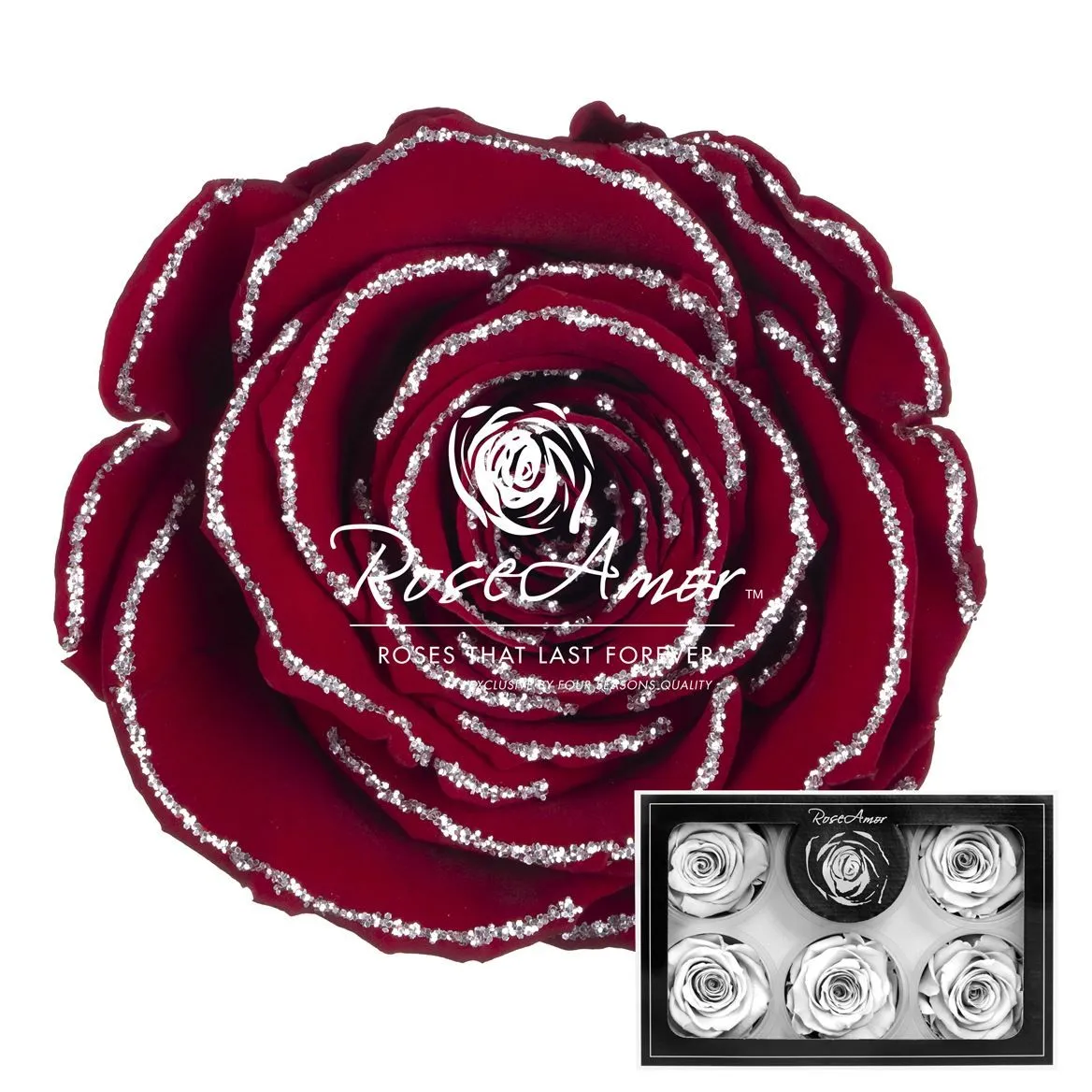 Stabilizovaná ruža XL ⌀ 6 cm, červená so strieborným okrajom RED01