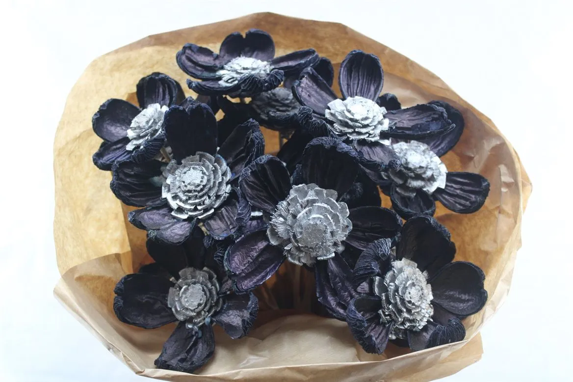 Pineflower D.bleu-silver, sušené