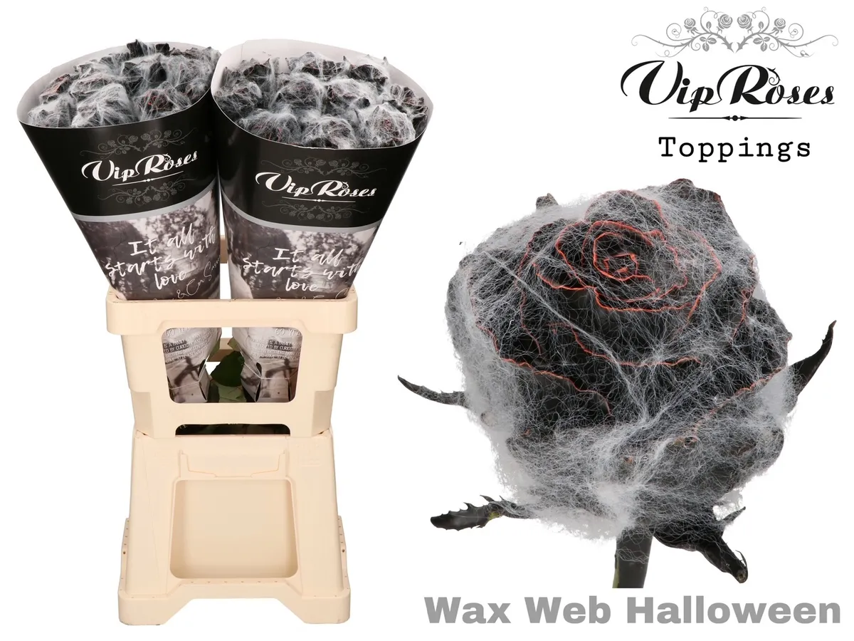 R Gr Wax Web Halloween • 70 cm