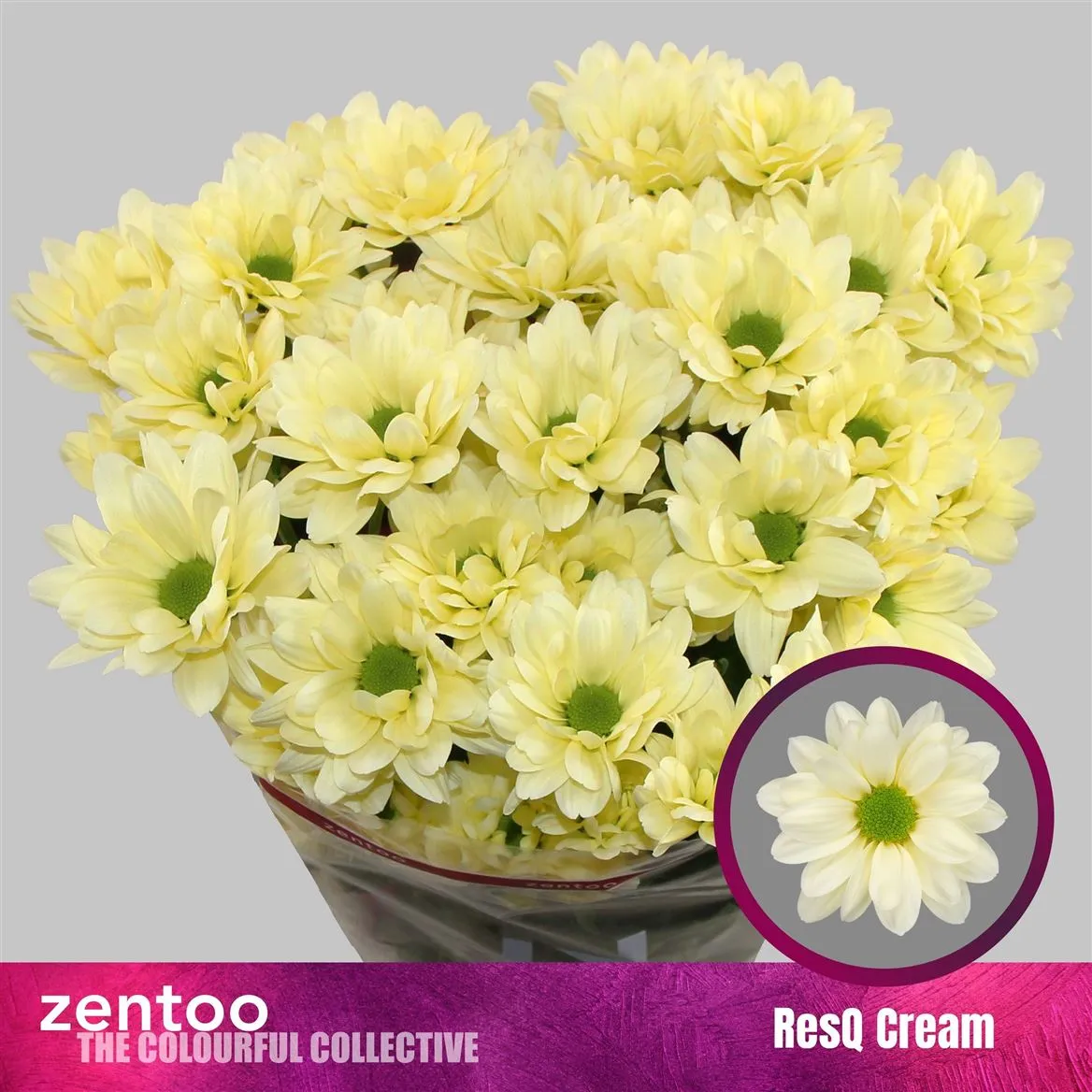 Chr T Resq Cream • 70 cm