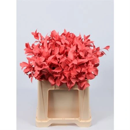 Ruskus farbený Pink + Glitter • 60 cm