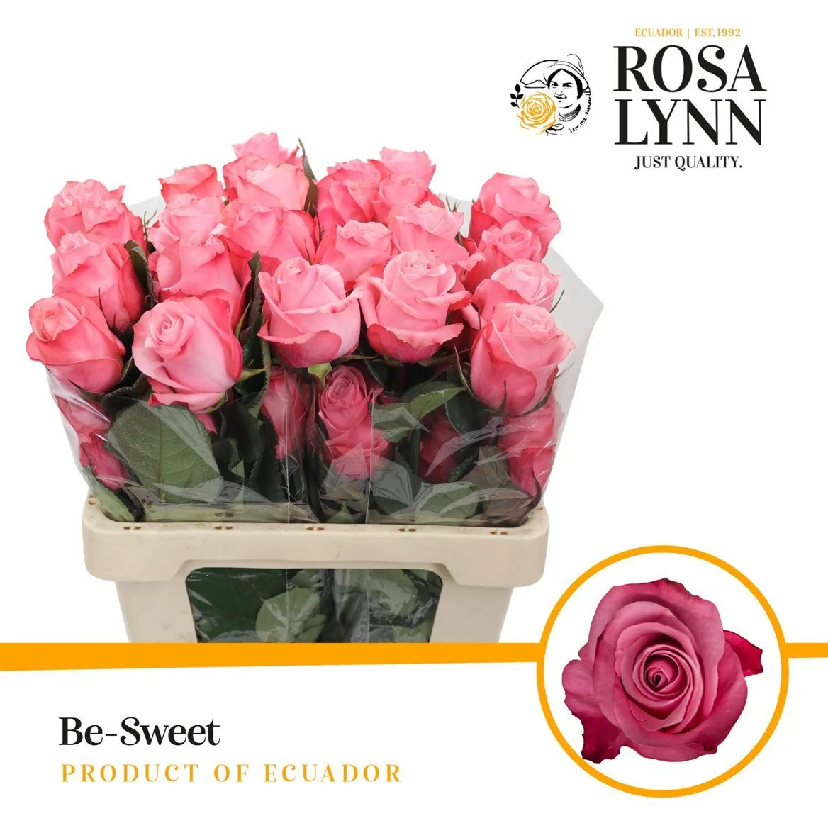 Rosa Gr Ec Be Sweet • 50 cm