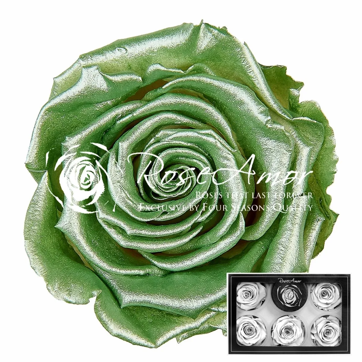 Stabilizovaná ruža XL ⌀ 6 cm, Metallic Mint zelená