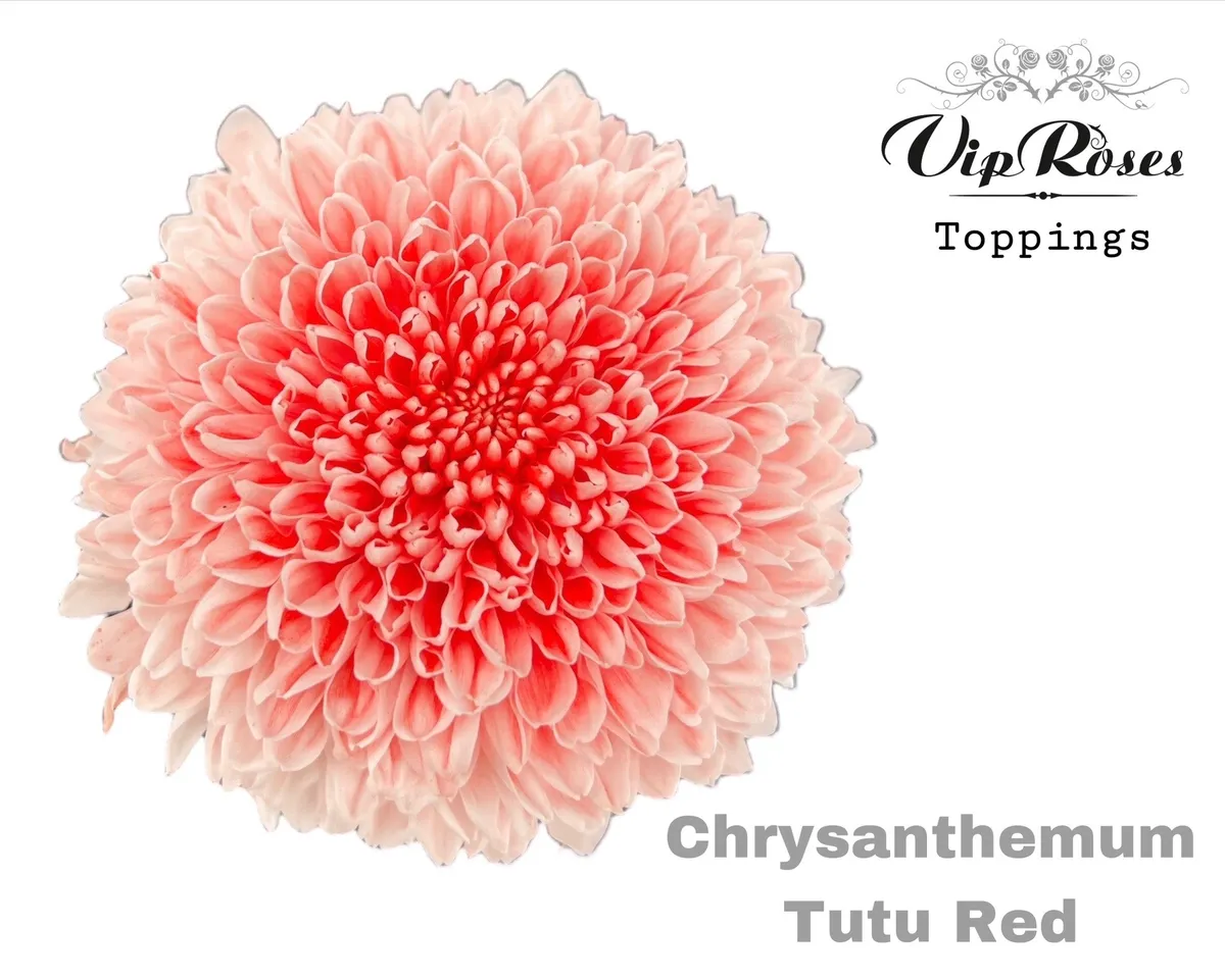 Chr G Tutu Red • 70 cm