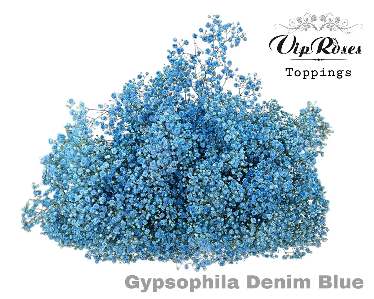 Gyps Pa Denim Blue • 80 cm