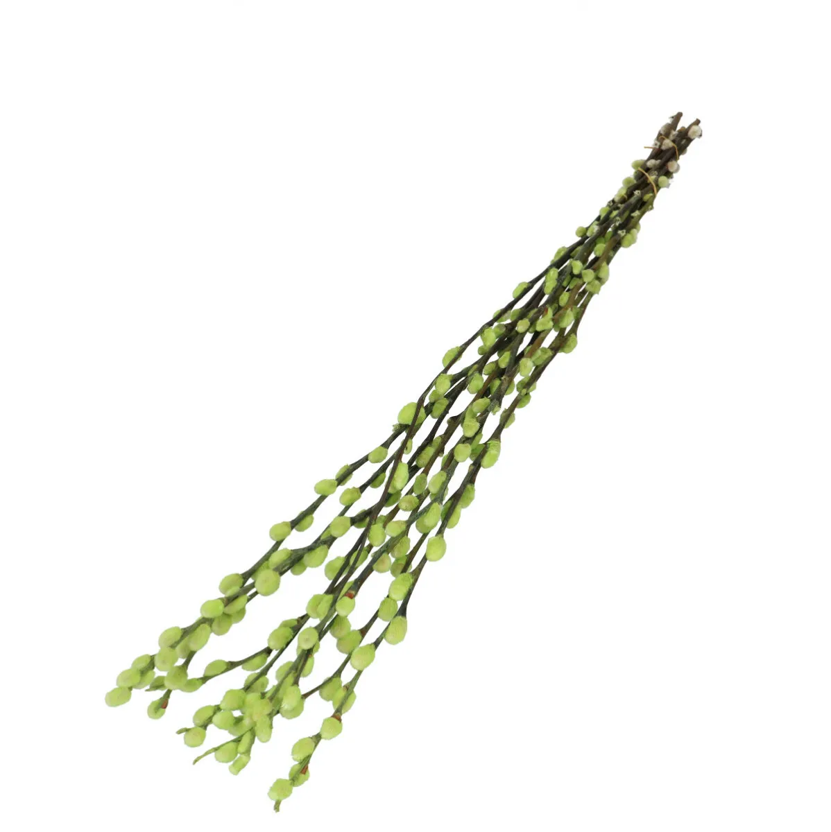 Sušené vŕbové jahňady zelené 70 cm