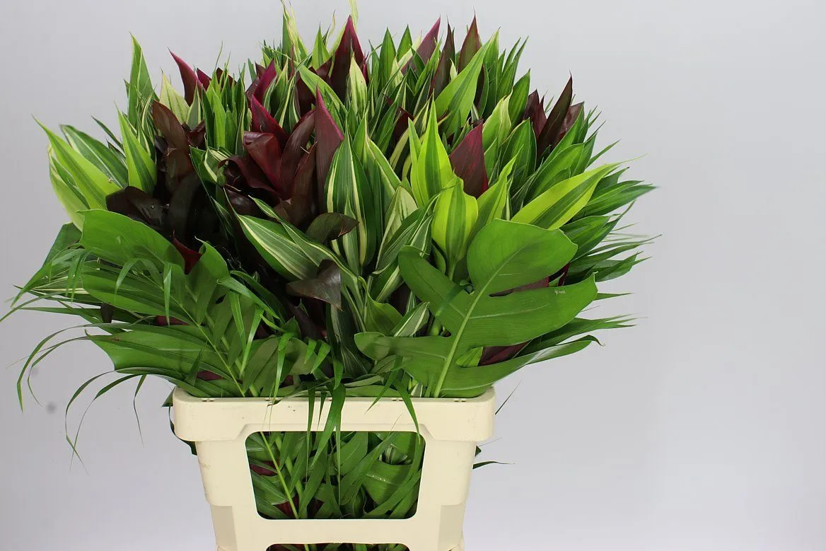 Bouquet 21 - Jungle Giant • 70 cm