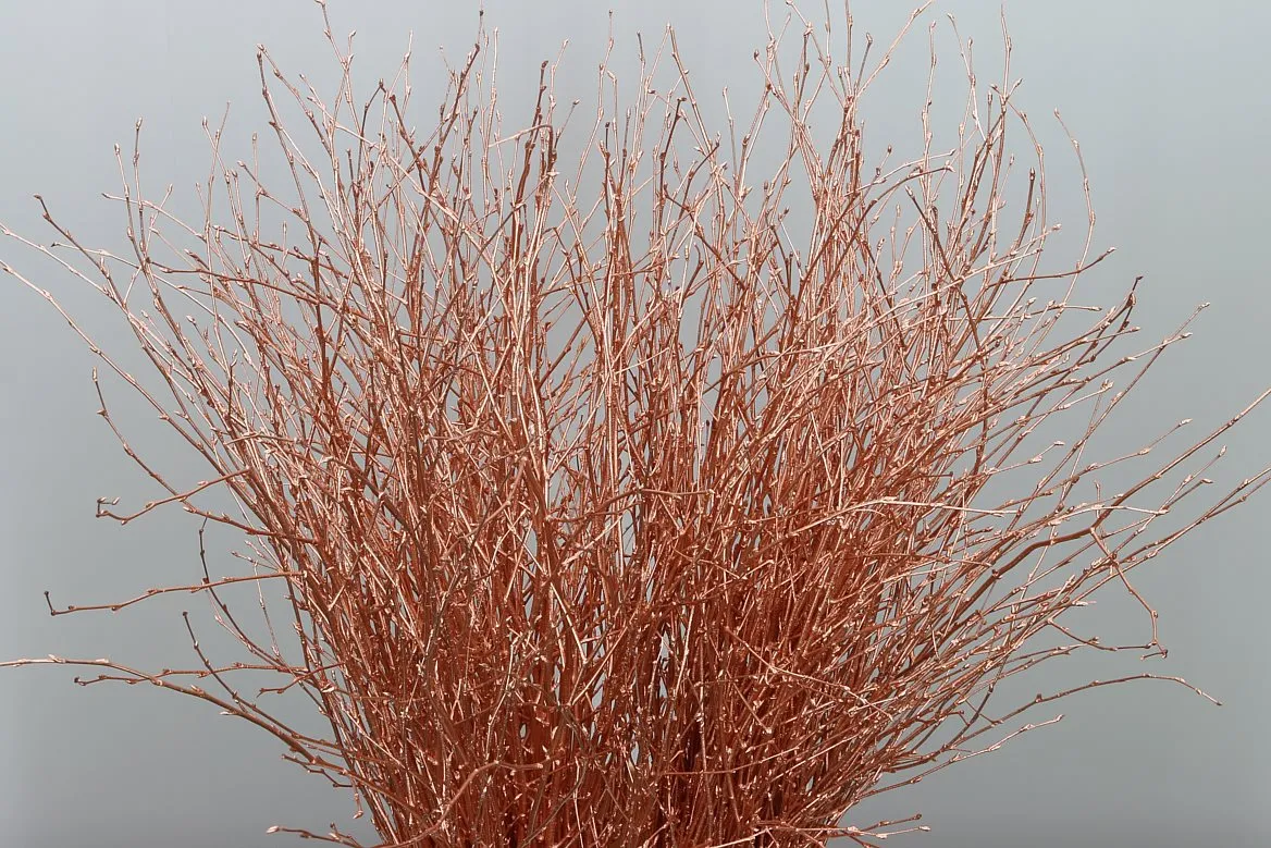 Breza Copper • 70 cm