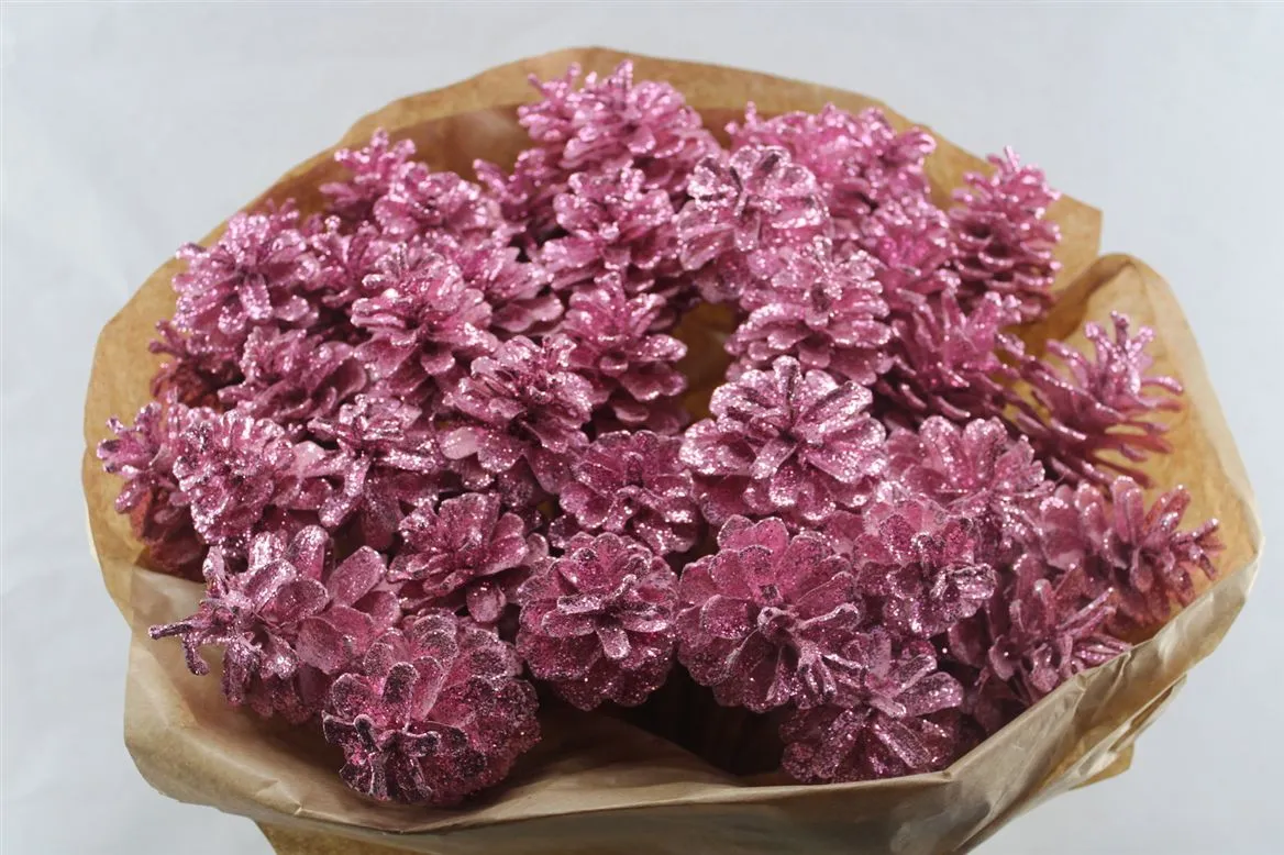 Pine Cone Pink Gl, sušené • 50 cm