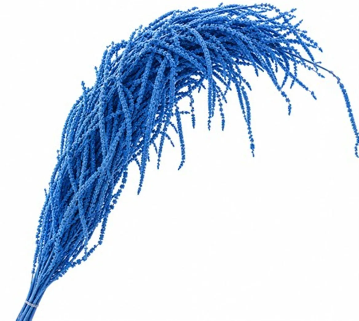 Dried Amaranthus Blue • 90 cm