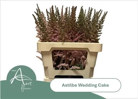 Astilbe Wedding Cake • 60 cm