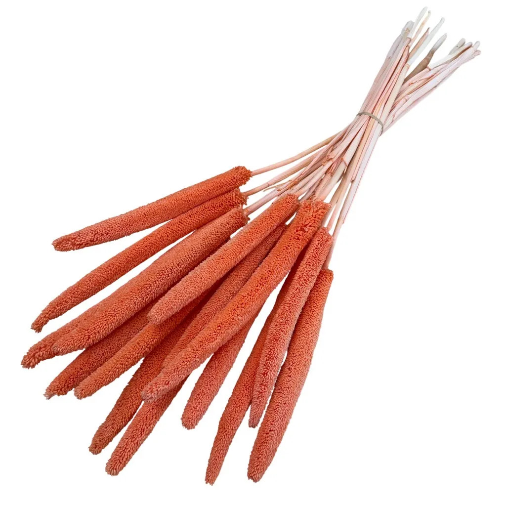 Sušená babala oranžová 70 cm