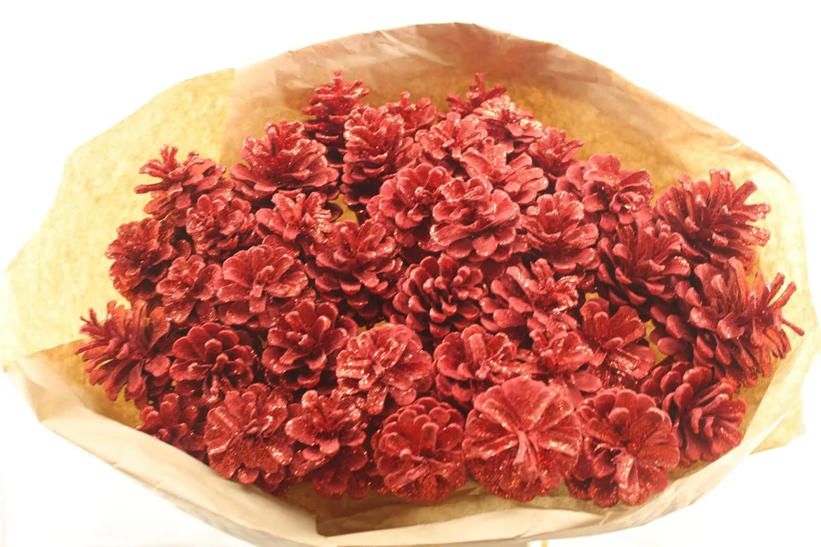 Pine Cone Red Gl, sušené • 50 cm