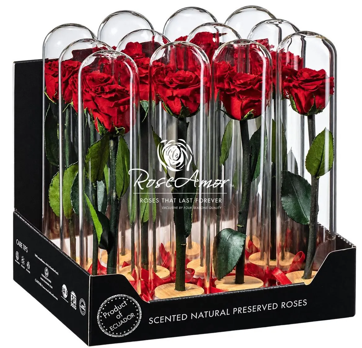Pres. Display Dome Lucca Red01