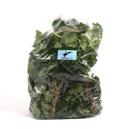 Salal Tips Vp X5 • 40 cm