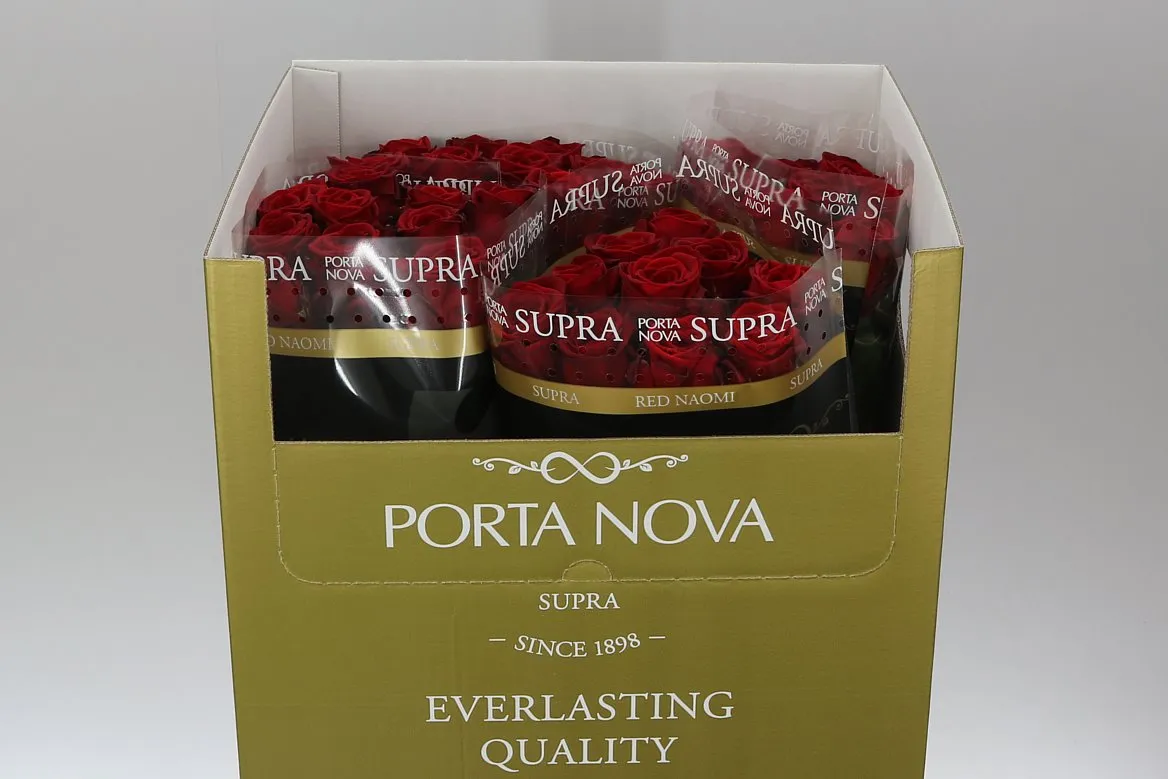 Ruža Red Naomi! Porta Supra • 60 cm