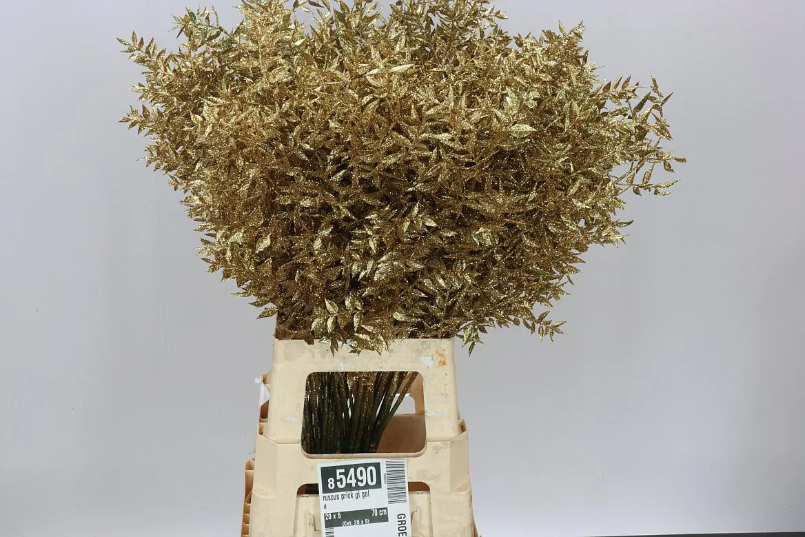 Ruskus Prick Gl Gold • 70 cm