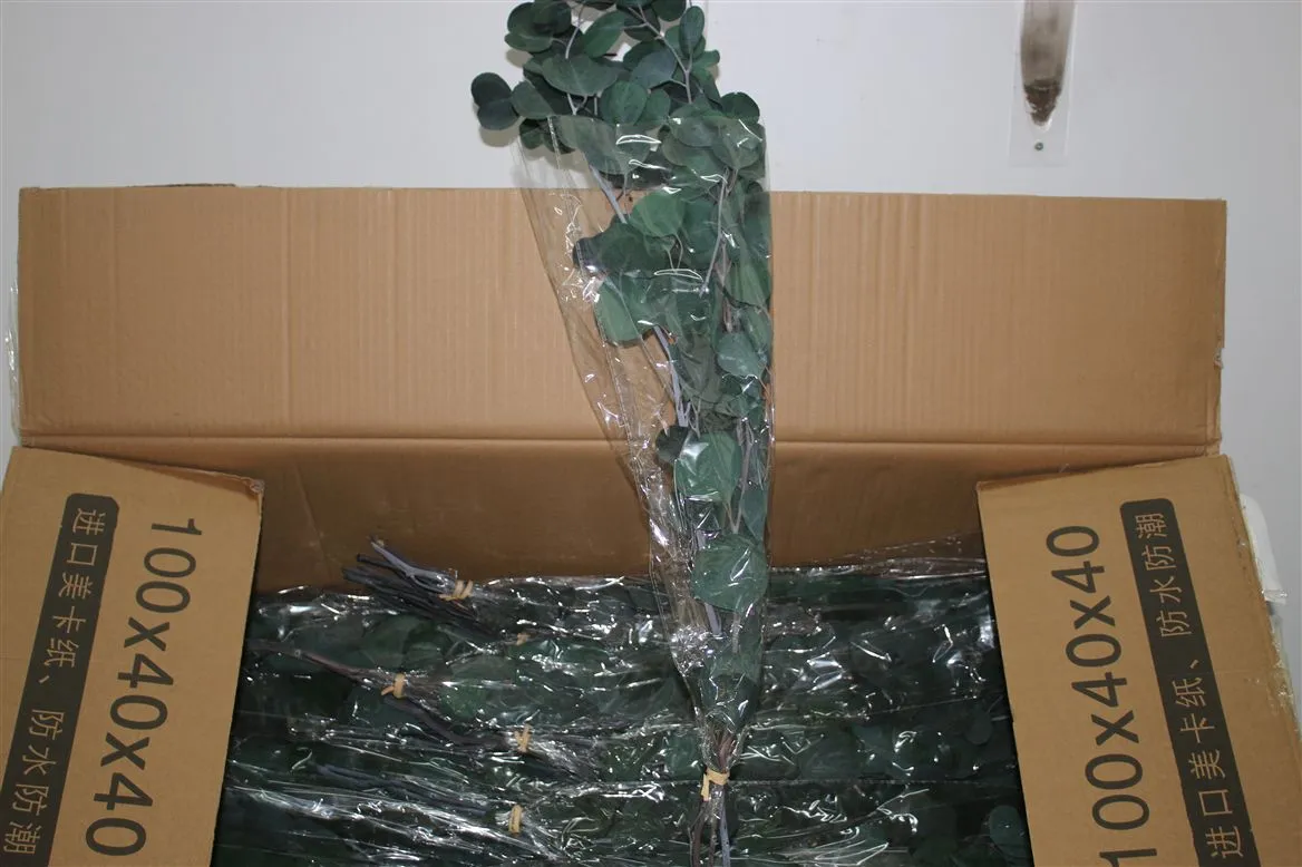 Dried Pop Leaf Green • 70 cm