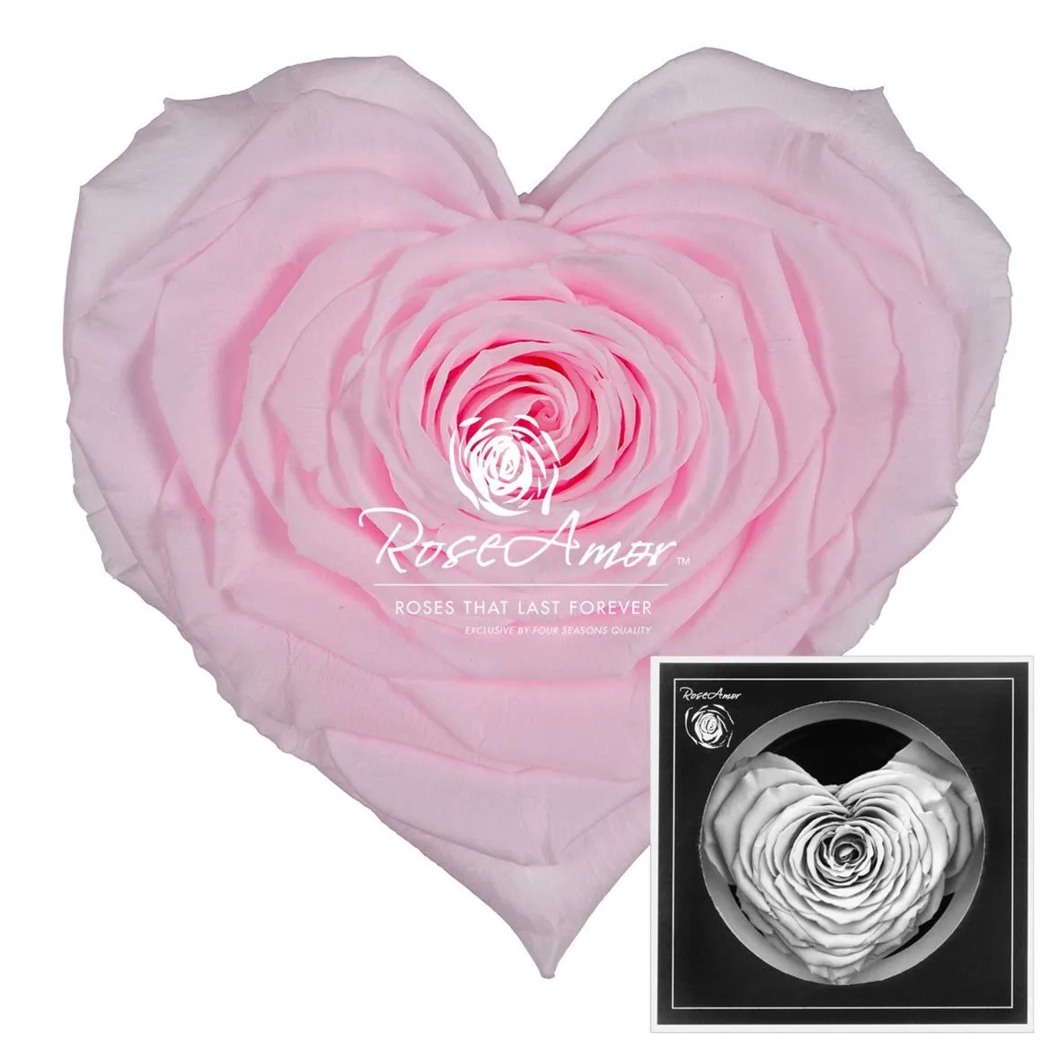 Stabilizovaná ruža v tvare srdca Corazon ⌀ 9 cm, ružová PIN99