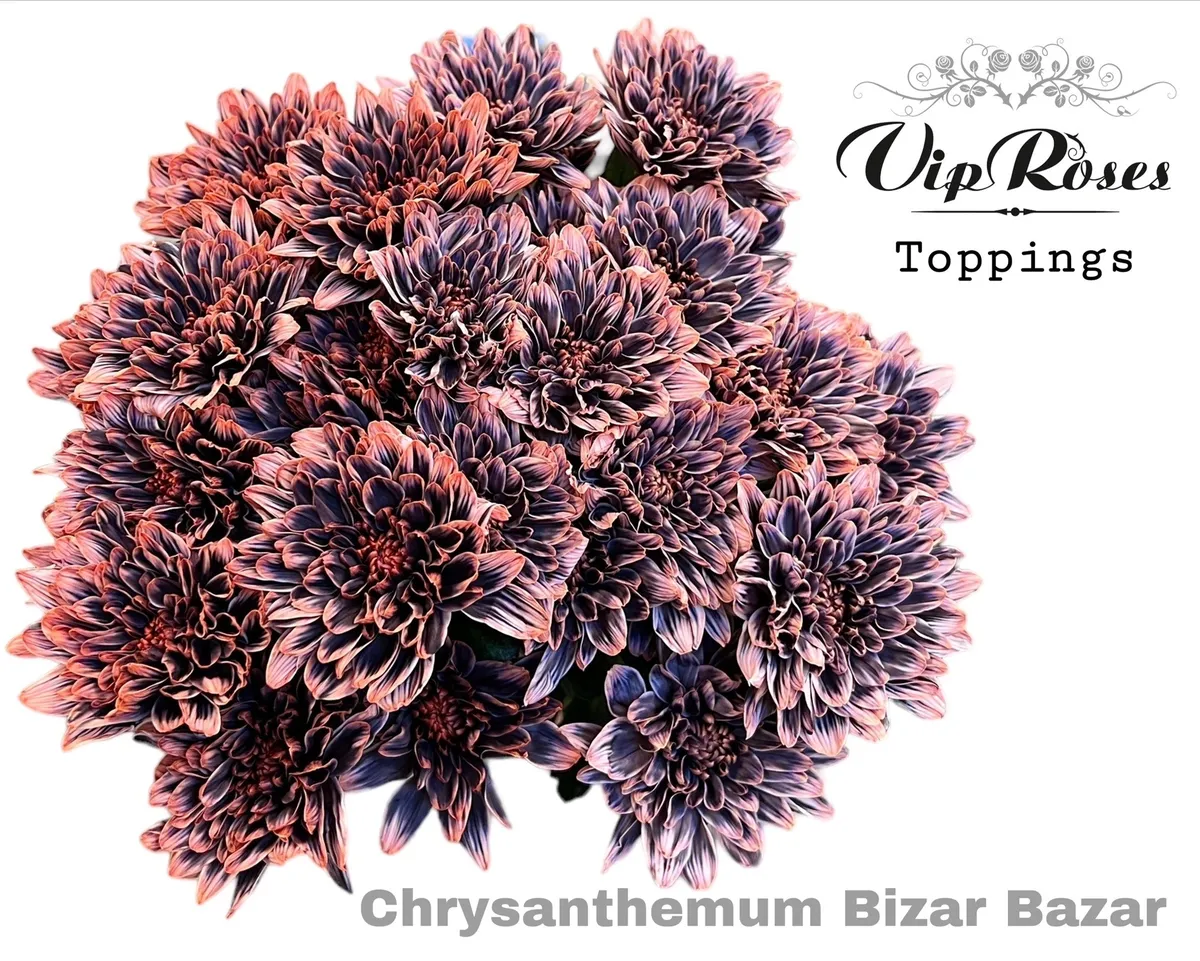 Chr T Bizar Bazar • 65 cm