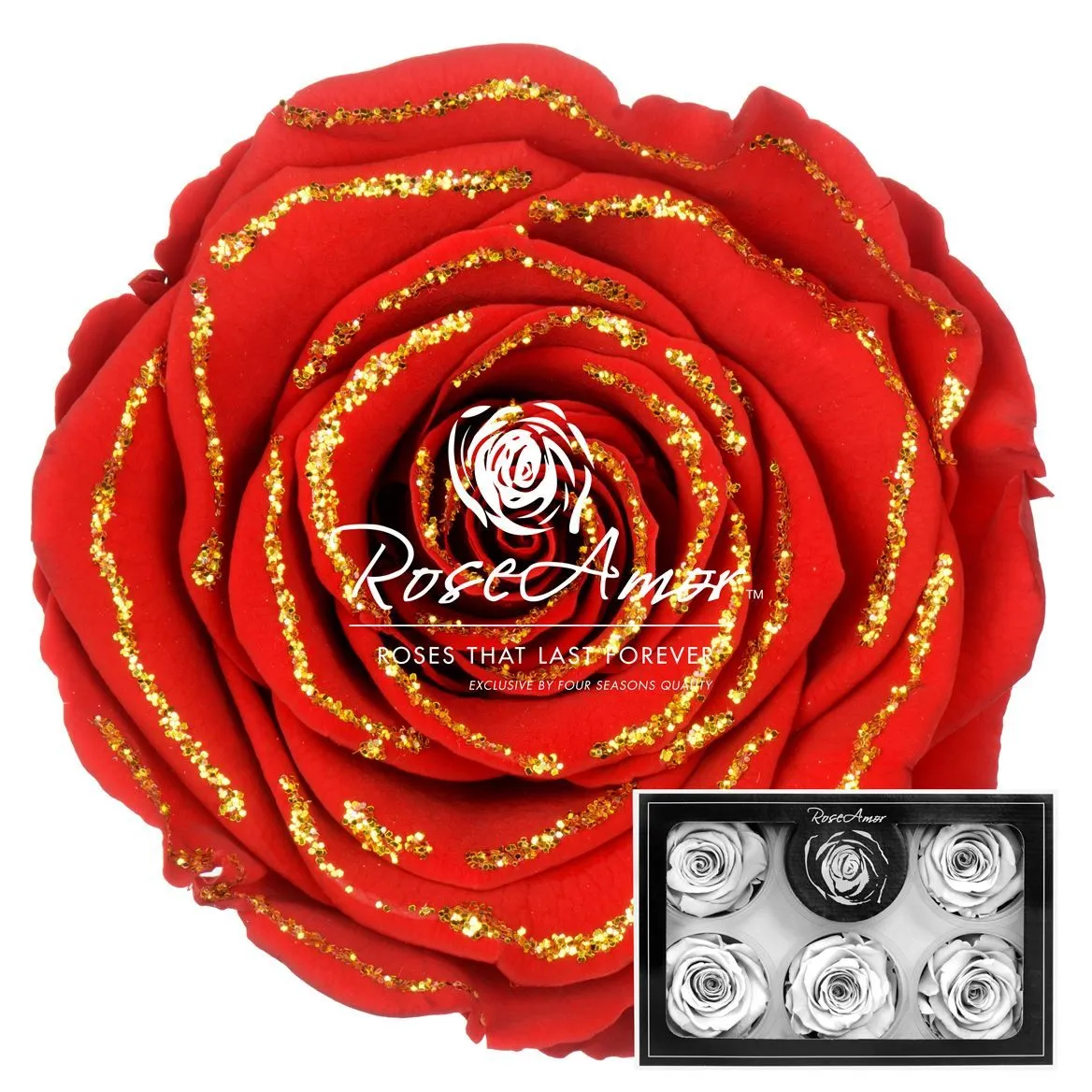 Stabilizovaná ruža XL ⌀ 6 cm, Glitter zlatá RED02