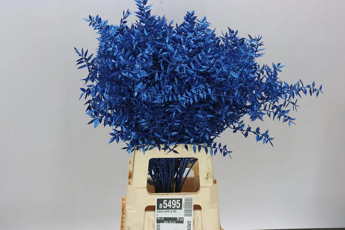 Ruskus Prick Gl Blue • 70 cm