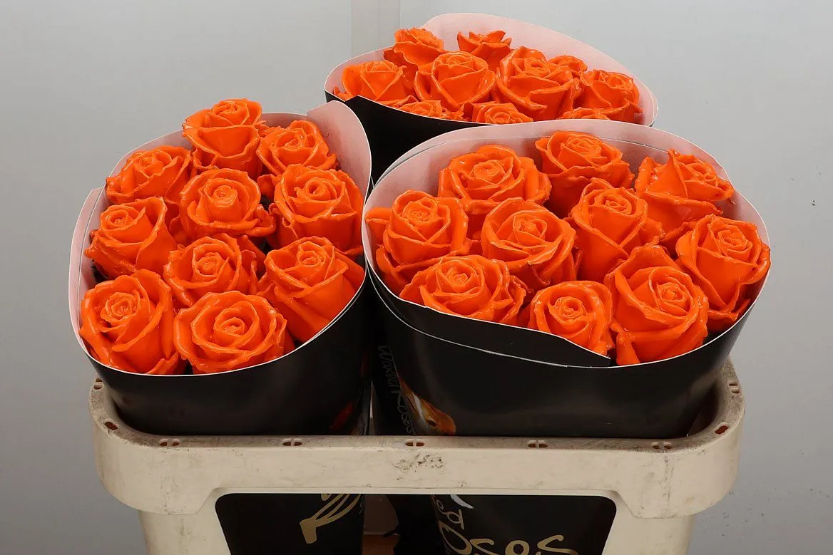 R Wx Oranje W6 • 70 cm