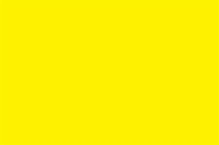 Ruža trsová Yellow • 60 cm