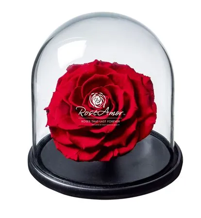 Pres. Dome Bonita Red02 Bulk