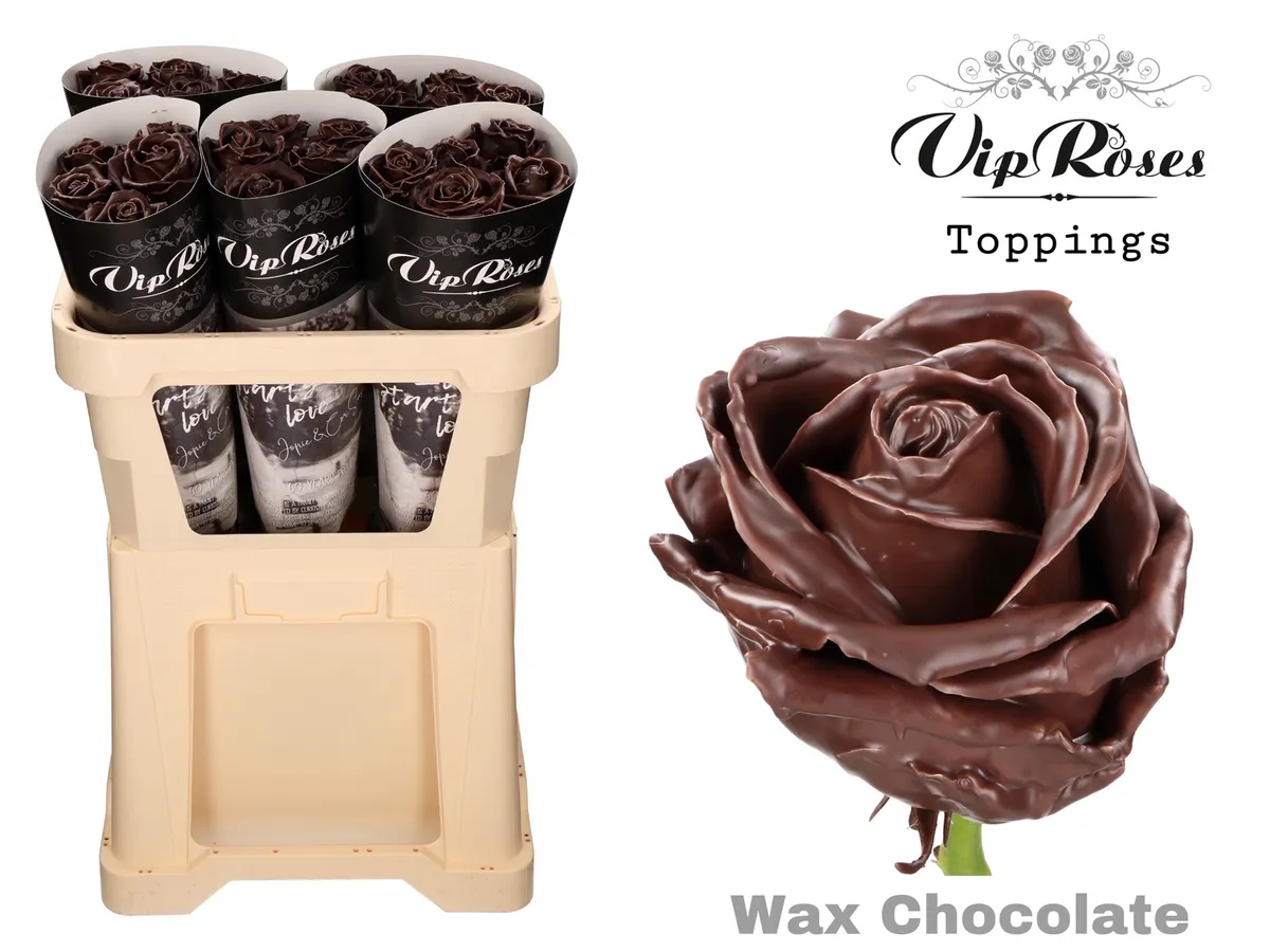 Ruža Wax Chocolate X30 • 70 cm