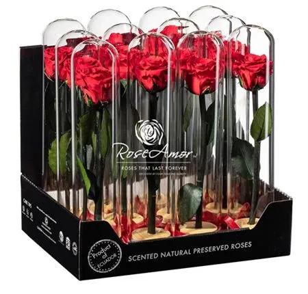 Pres. Display Dome Lucca Red02