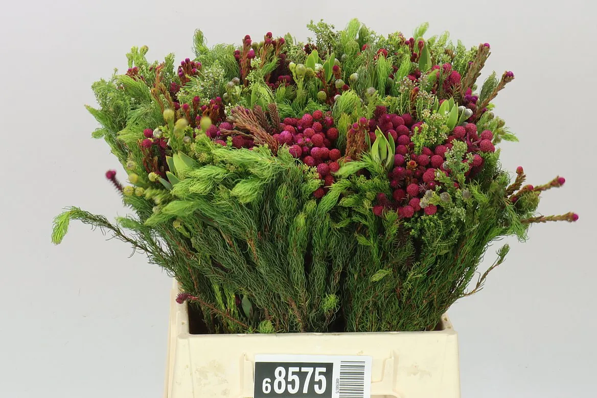 Bq Wild Flower • 40 cm