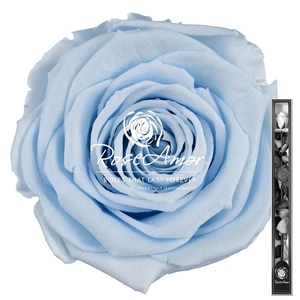 Stabilizovaná ruža na stonke ⌀ 6 cm 60 cm, modrá BLU89