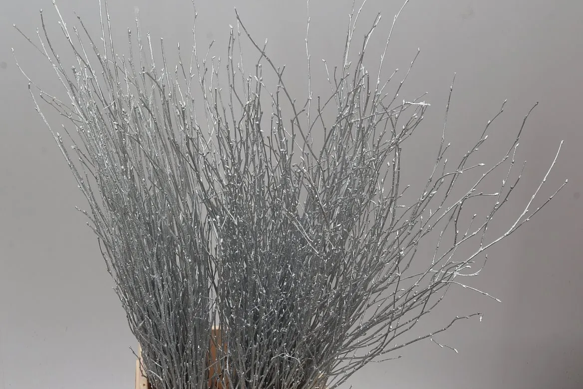 Breza Silver • 70 cm