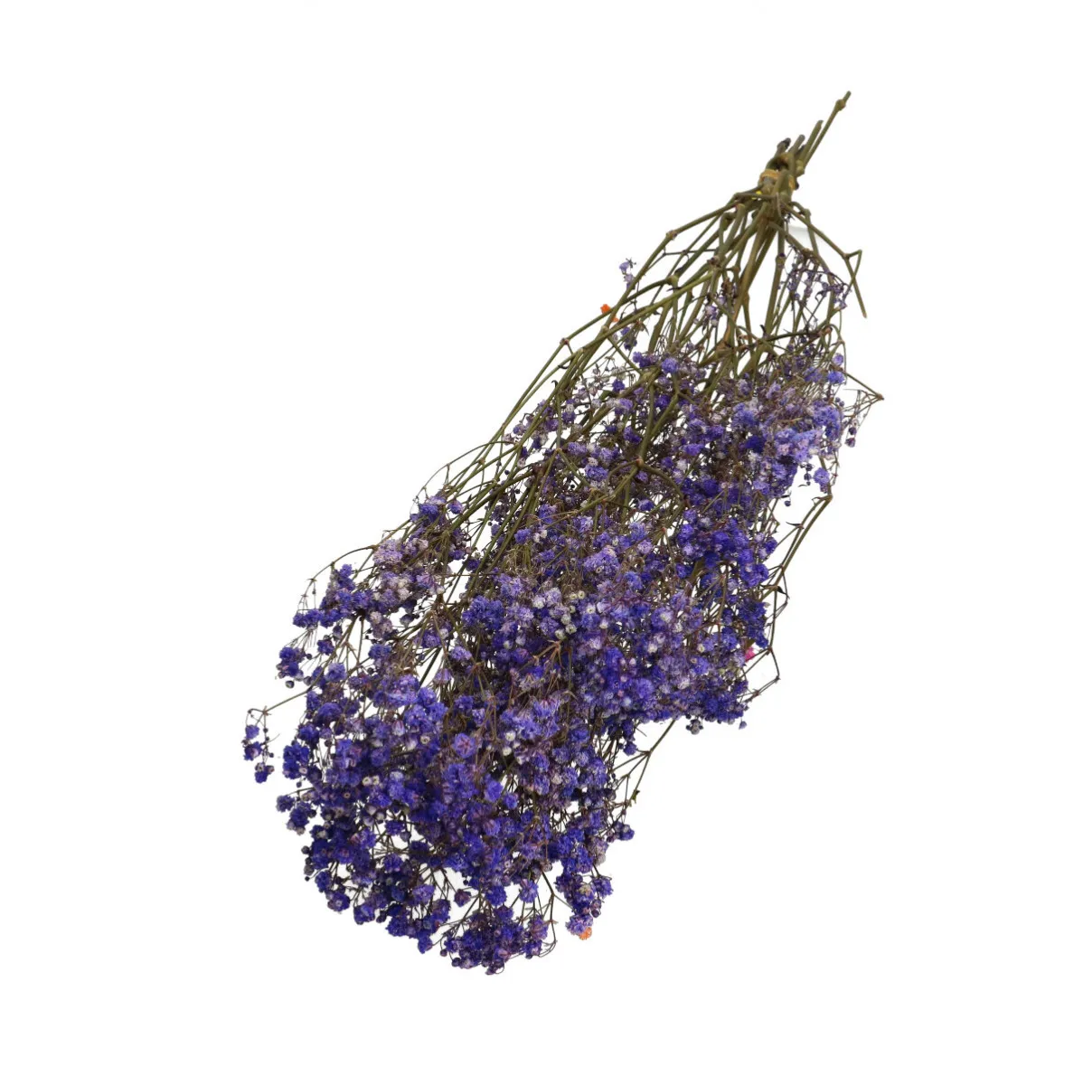 Sušená gypsomilka fialová 70 cm, 50 g